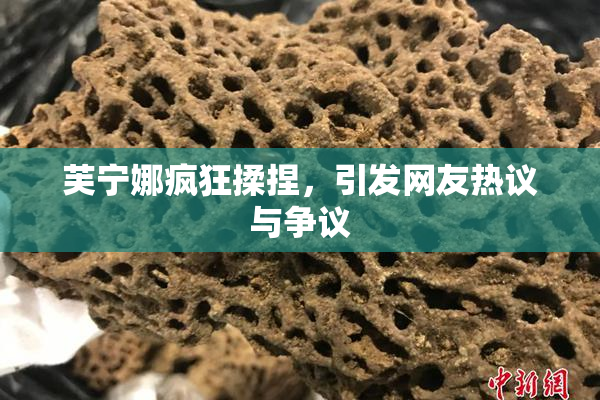 芙宁娜疯狂揉捏，引发网友热议与争议
