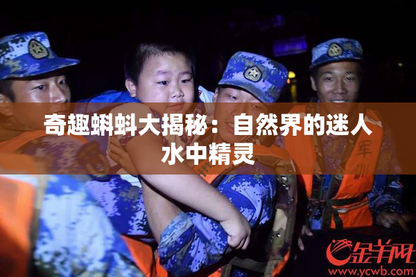 奇趣蝌蚪大揭秘：自然界的迷人水中精灵