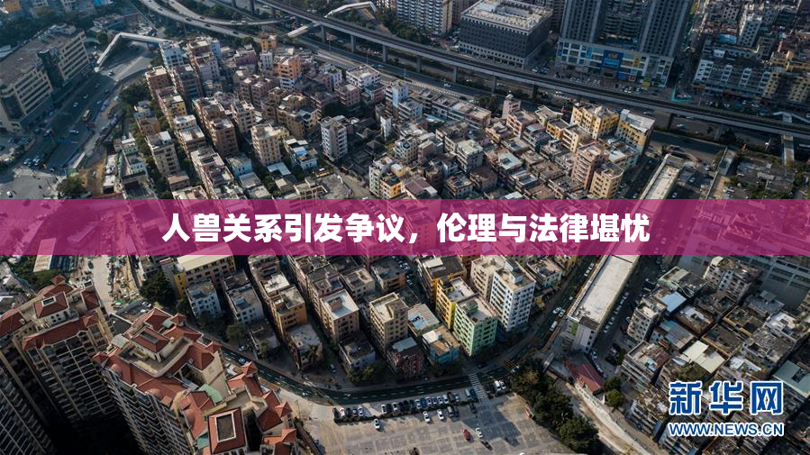人兽关系引发争议，伦理与法律堪忧