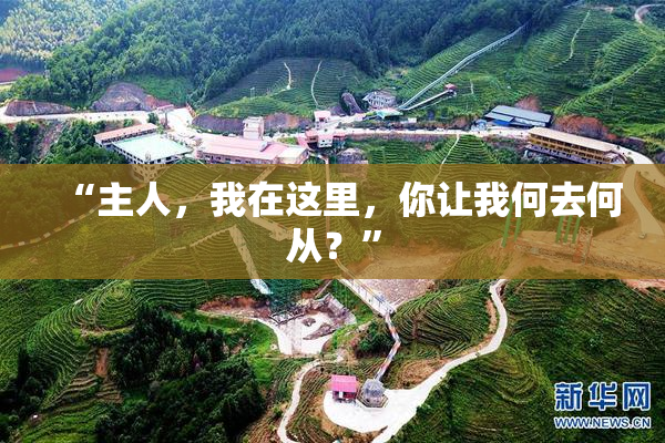 “主人，我在这里，你让我何去何从？”