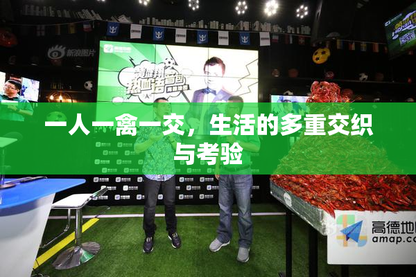一人一禽一交，生活的多重交织与考验