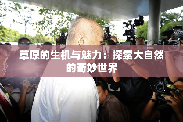 草原的生机与魅力：探索大自然的奇妙世界