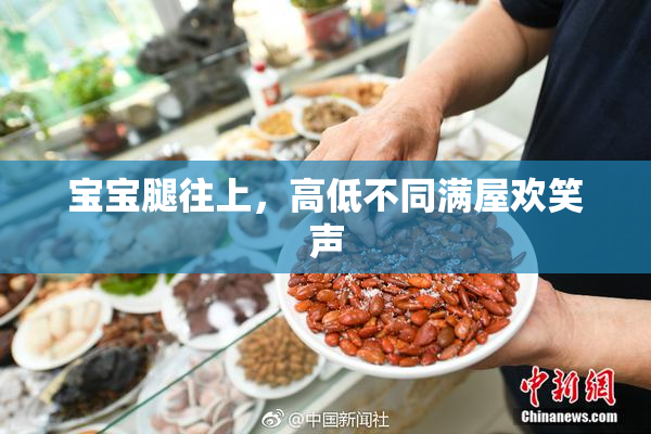 宝宝腿往上，高低不同满屋欢笑声