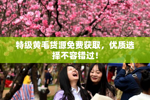 特级黄毛货源免费获取，优质选择不容错过！