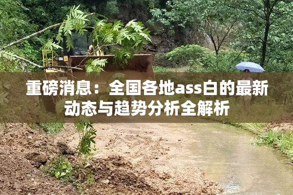 重磅消息：全国各地ass白的最新动态与趋势分析全解析