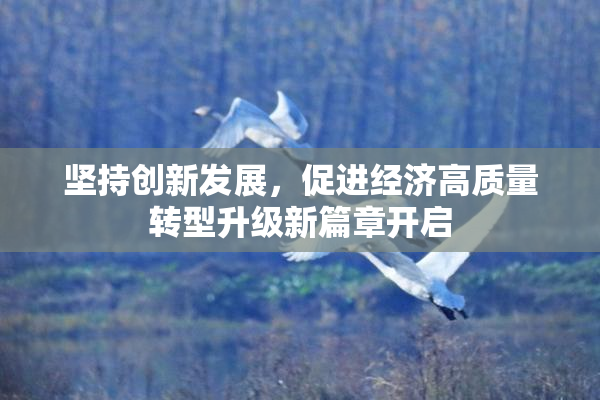 坚持创新发展，促进经济高质量转型升级新篇章开启