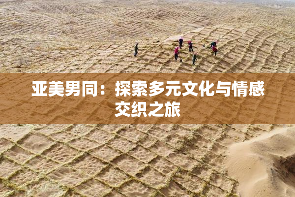 亚美男同：探索多元文化与情感交织之旅