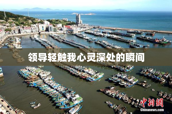 领导轻触我心灵深处的瞬间