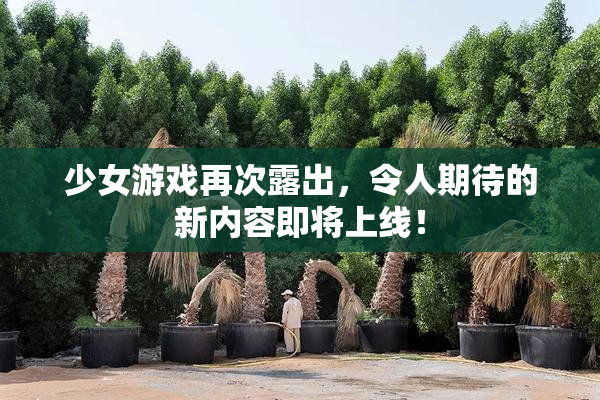 少女游戏再次露出，令人期待的新内容即将上线！