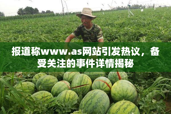 报道称www.as网站引发热议，备受关注的事件详情揭秘