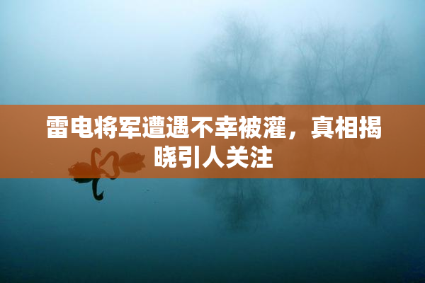 雷电将军遭遇不幸被灌，真相揭晓引人关注