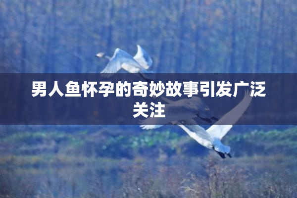 男人鱼怀孕的奇妙故事引发广泛关注