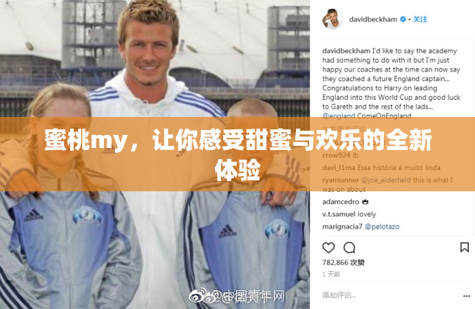 蜜桃my，让你感受甜蜜与欢乐的全新体验
