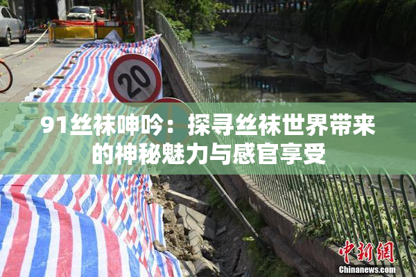 91丝袜呻吟：探寻丝袜世界带来的神秘魅力与感官享受
