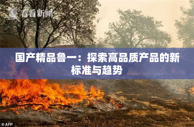 国产精品鲁一：探索高品质产品的新标准与趋势
