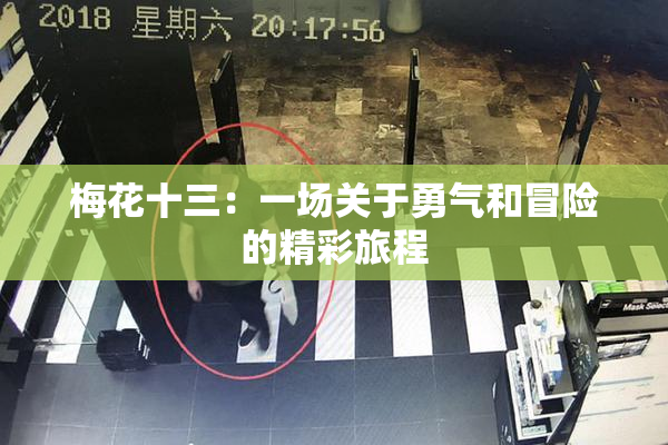梅花十三：一场关于勇气和冒险的精彩旅程