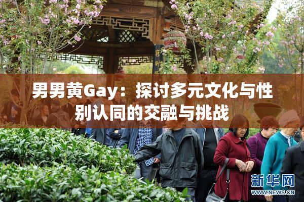 男男黄Gay：探讨多元文化与性别认同的交融与挑战