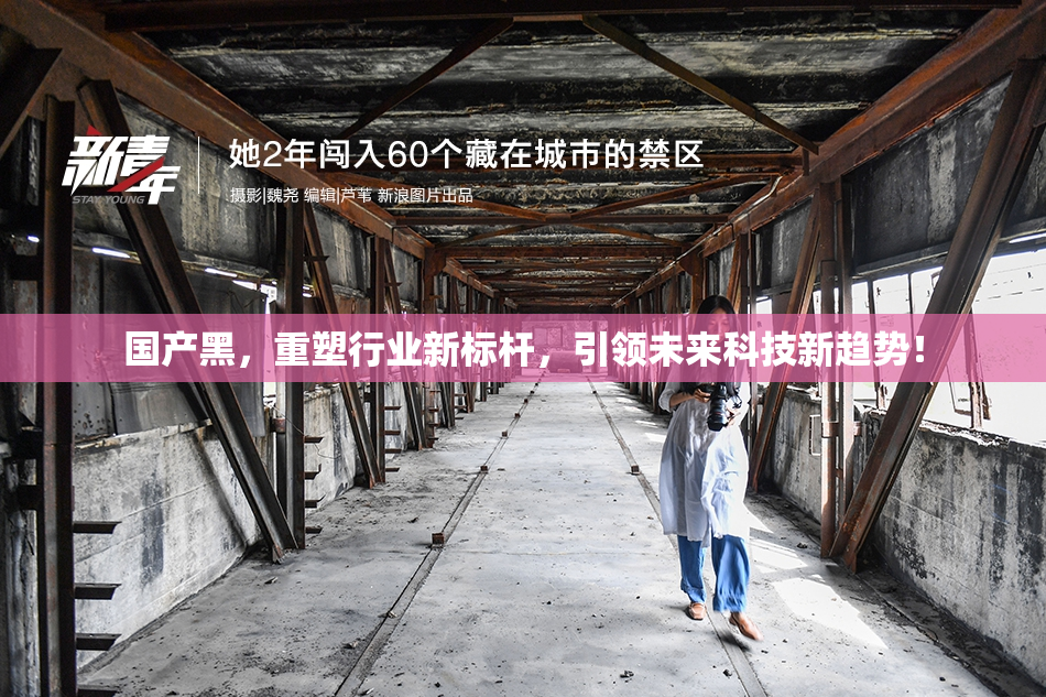 国产黑，重塑行业新标杆，引领未来科技新趋势！