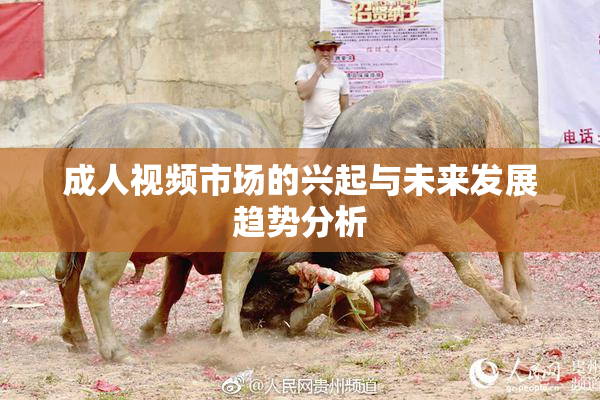成人视频市场的兴起与未来发展趋势分析
