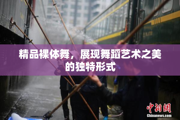 精品裸体舞，展现舞蹈艺术之美的独特形式