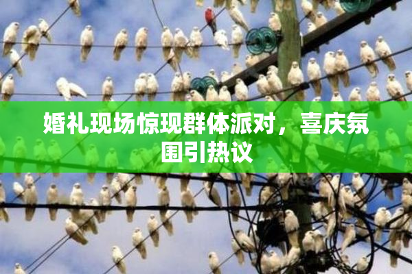 婚礼现场惊现群体派对，喜庆氛围引热议