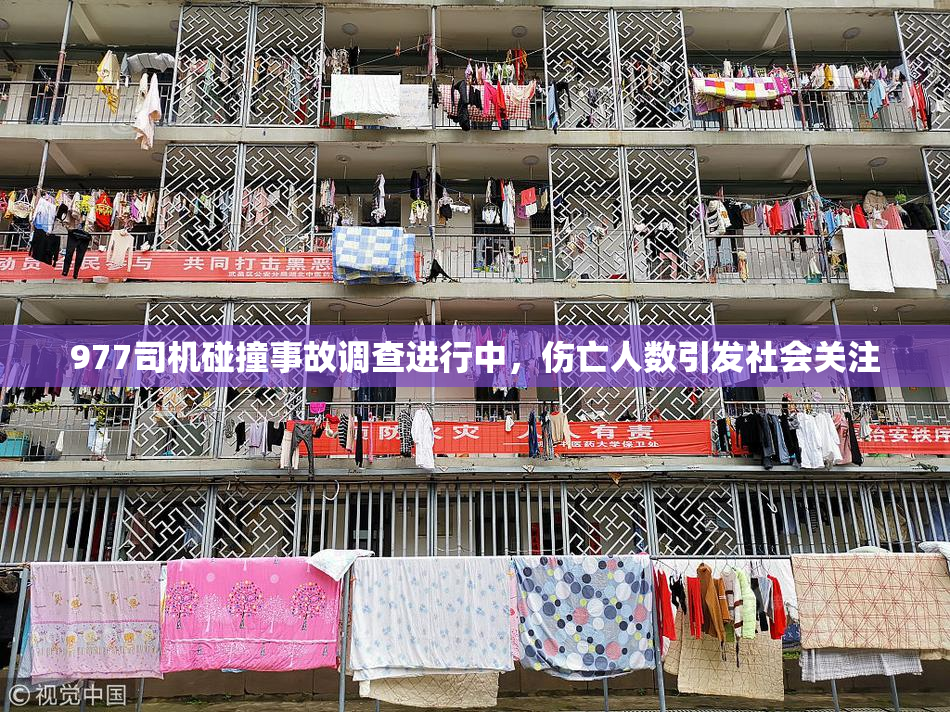 977司机碰撞事故调查进行中，伤亡人数引发社会关注