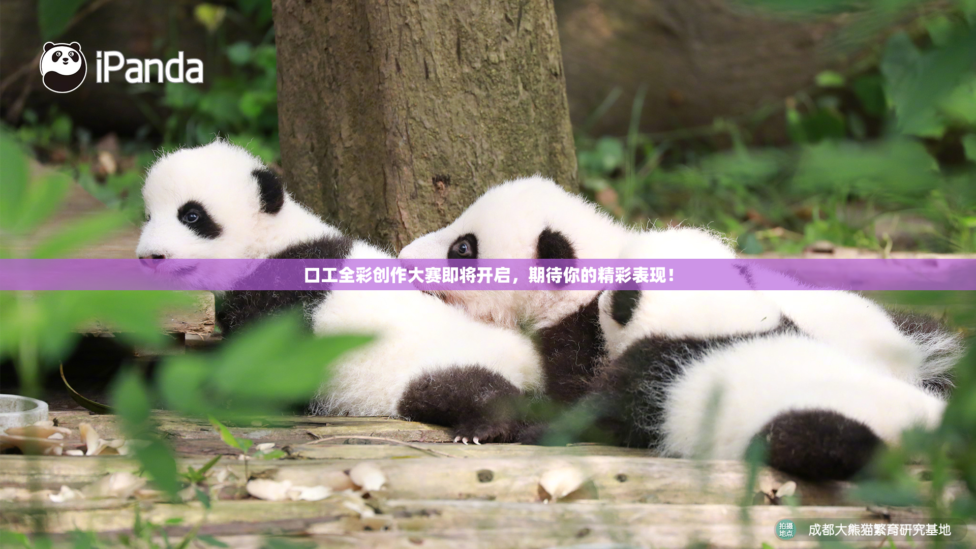口工全彩创作大赛即将开启，期待你的精彩表现！