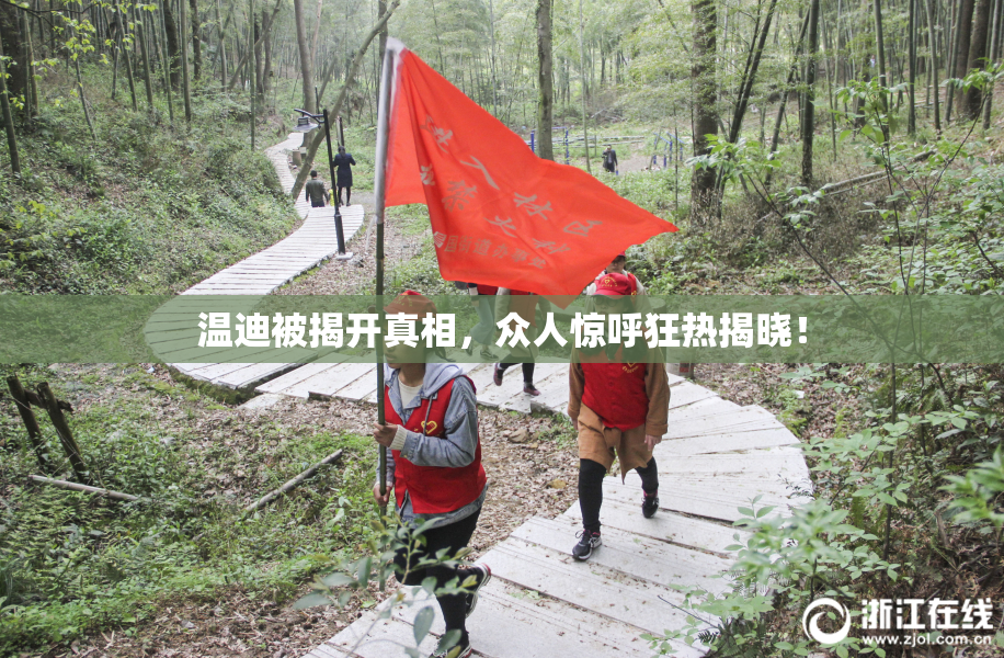 温迪被揭开真相，众人惊呼狂热揭晓！