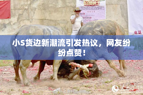 小S货边新潮流引发热议，网友纷纷点赞！