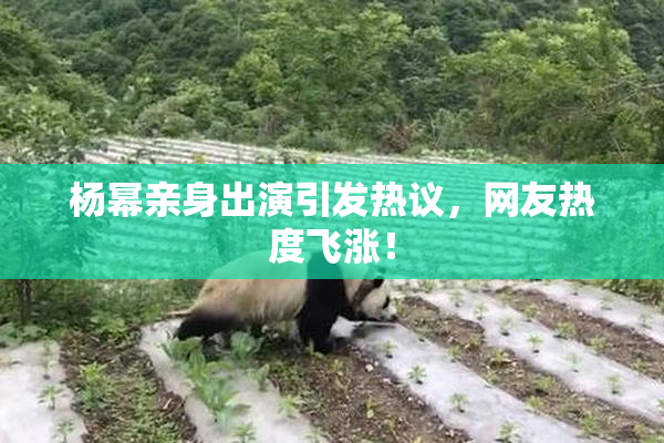 杨幂亲身出演引发热议，网友热度飞涨！