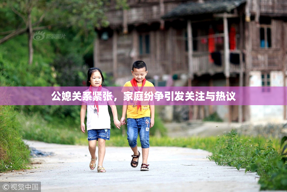 公媳关系紧张，家庭纷争引发关注与热议