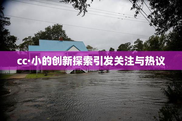 cc·小的创新探索引发关注与热议