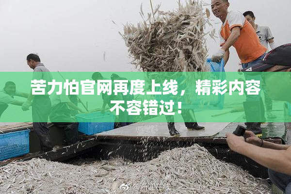 苦力怕官网再度上线，精彩内容不容错过！