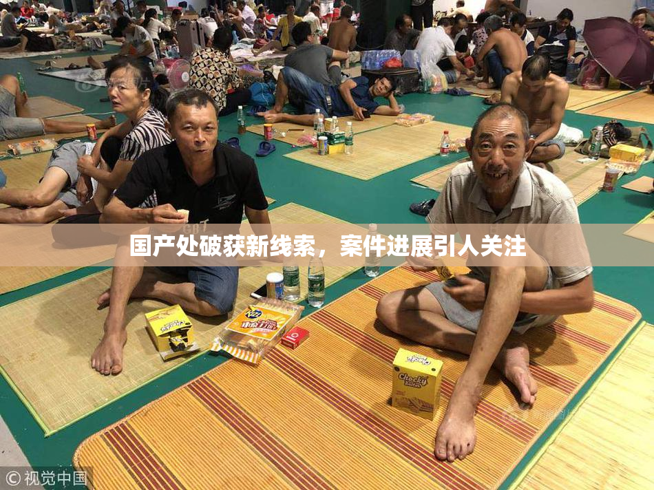 国产处破获新线索，案件进展引人关注