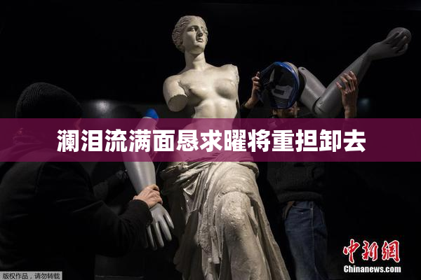澜泪流满面恳求曜将重担卸去