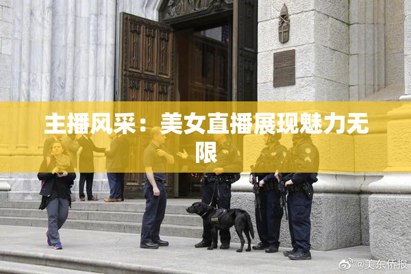 主播风采：美女直播展现魅力无限