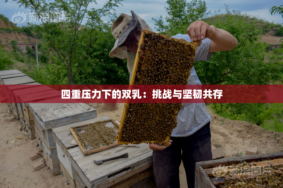 四重压力下的双乳：挑战与坚韧共存