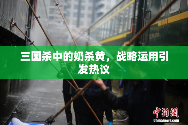 三国杀中的奶杀黄，战略运用引发热议