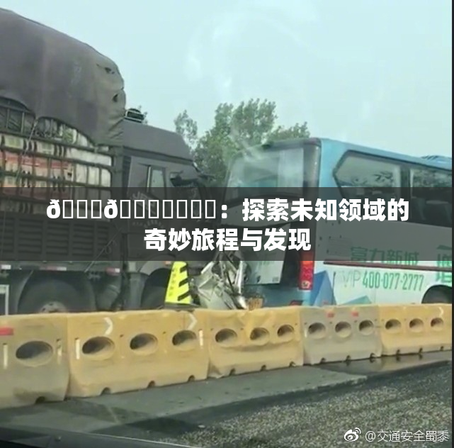 🍆🍑❌‌❌‌：探索未知领域的奇妙旅程与发现