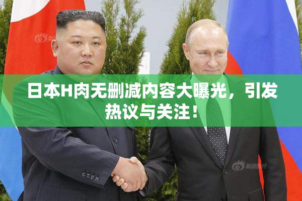 日本H肉无删减内容大曝光，引发热议与关注！