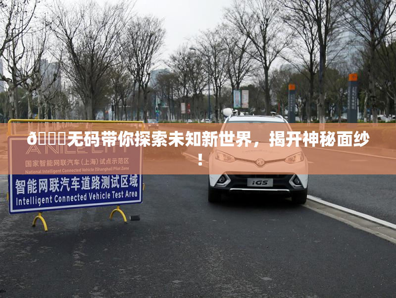 🔞无码带你探索未知新世界，揭开神秘面纱！