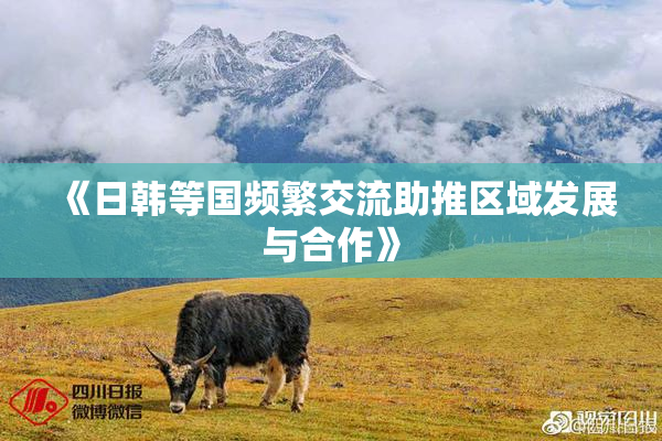 《日韩等国频繁交流助推区域发展与合作》