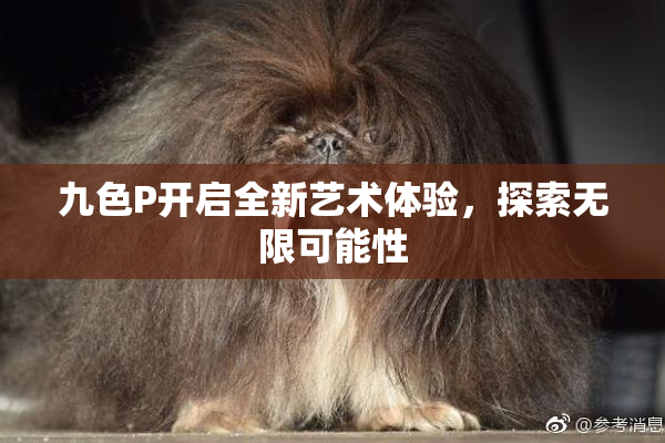 九色P开启全新艺术体验，探索无限可能性