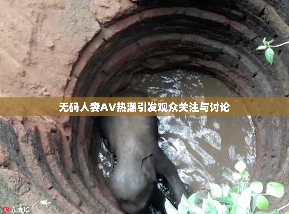 无码人妻AV热潮引发观众关注与讨论