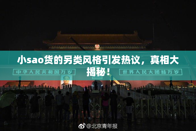 小sao货的另类风格引发热议，真相大揭秘！