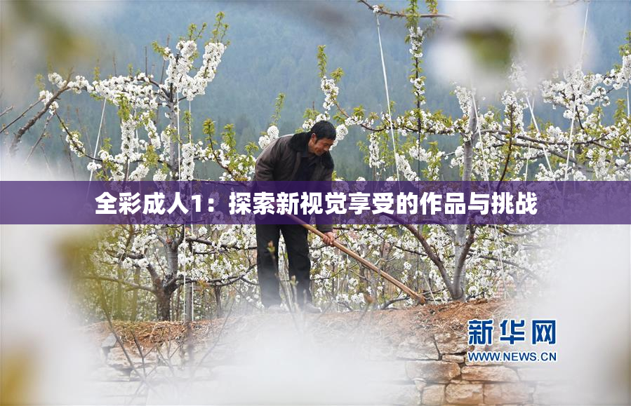 全彩成人1：探索新视觉享受的作品与挑战