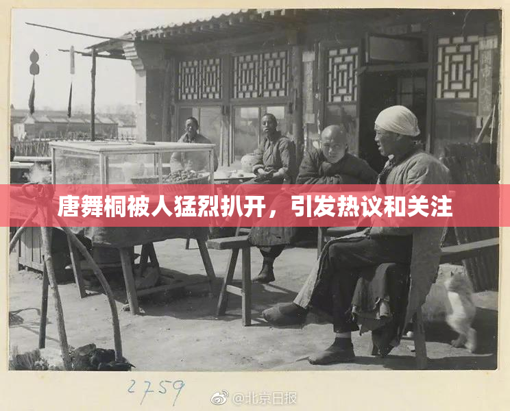 唐舞桐被人猛烈扒开，引发热议和关注