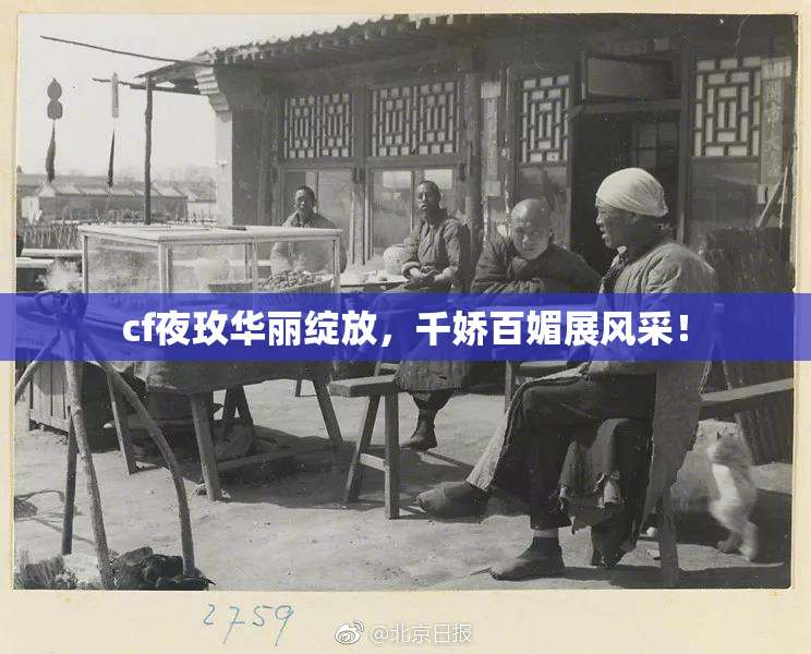 cf夜玫华丽绽放，千娇百媚展风采！