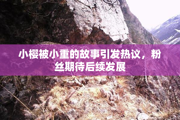 小樱被小重的故事引发热议，粉丝期待后续发展