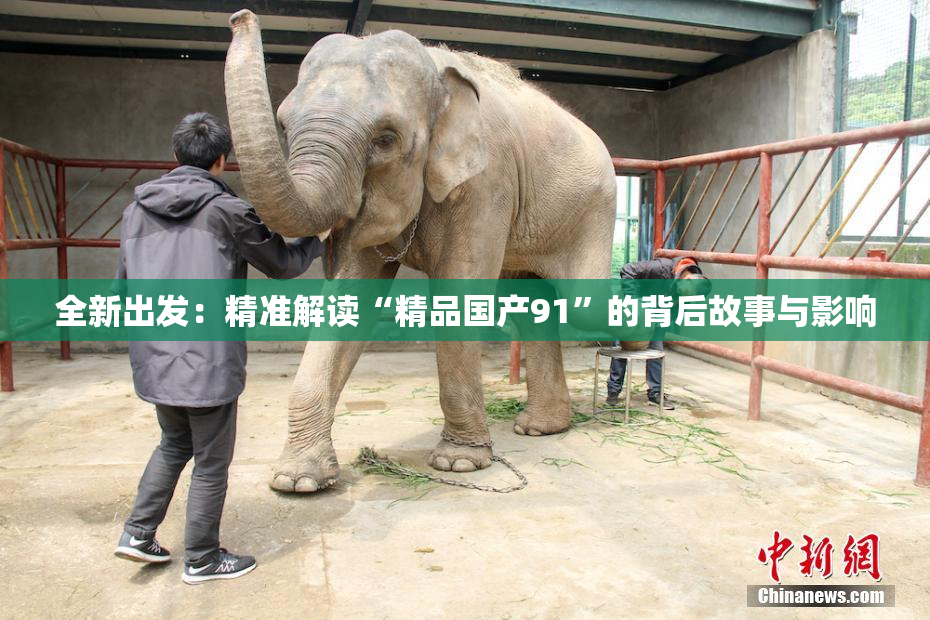 全新出发：精准解读“精品国产91”的背后故事与影响